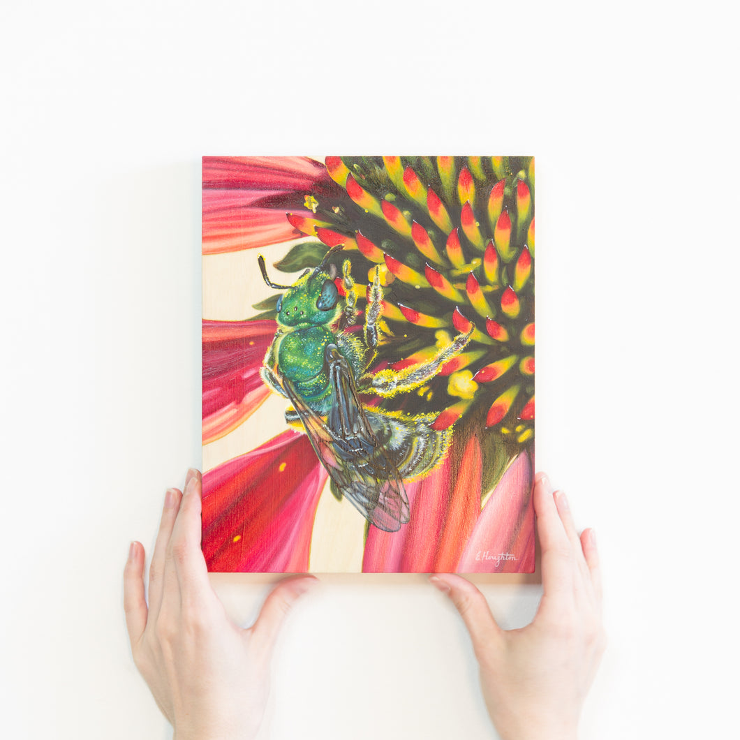 Two hands holding a painting of a green sweat bee sitting on a red echinacea flower. The bee is an iridescent green with a striped black and yellow abdomen. It is covered in bright yellow pollen. The echinacea has yellow and dark red spikes on its center.