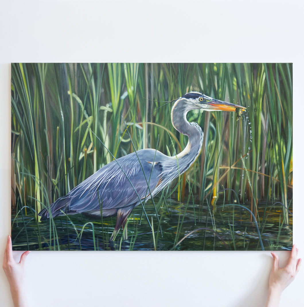 'Within the Reeds' Original Oil Painting