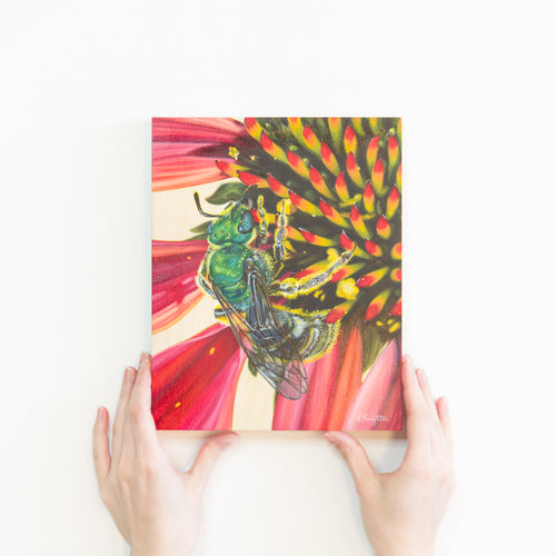 Two hands holding a painting of a green sweat bee sitting on a red echinacea flower. The bee is an iridescent green with a striped black and yellow abdomen. It is covered in bright yellow pollen. The echinacea has yellow and dark red spikes on its center.